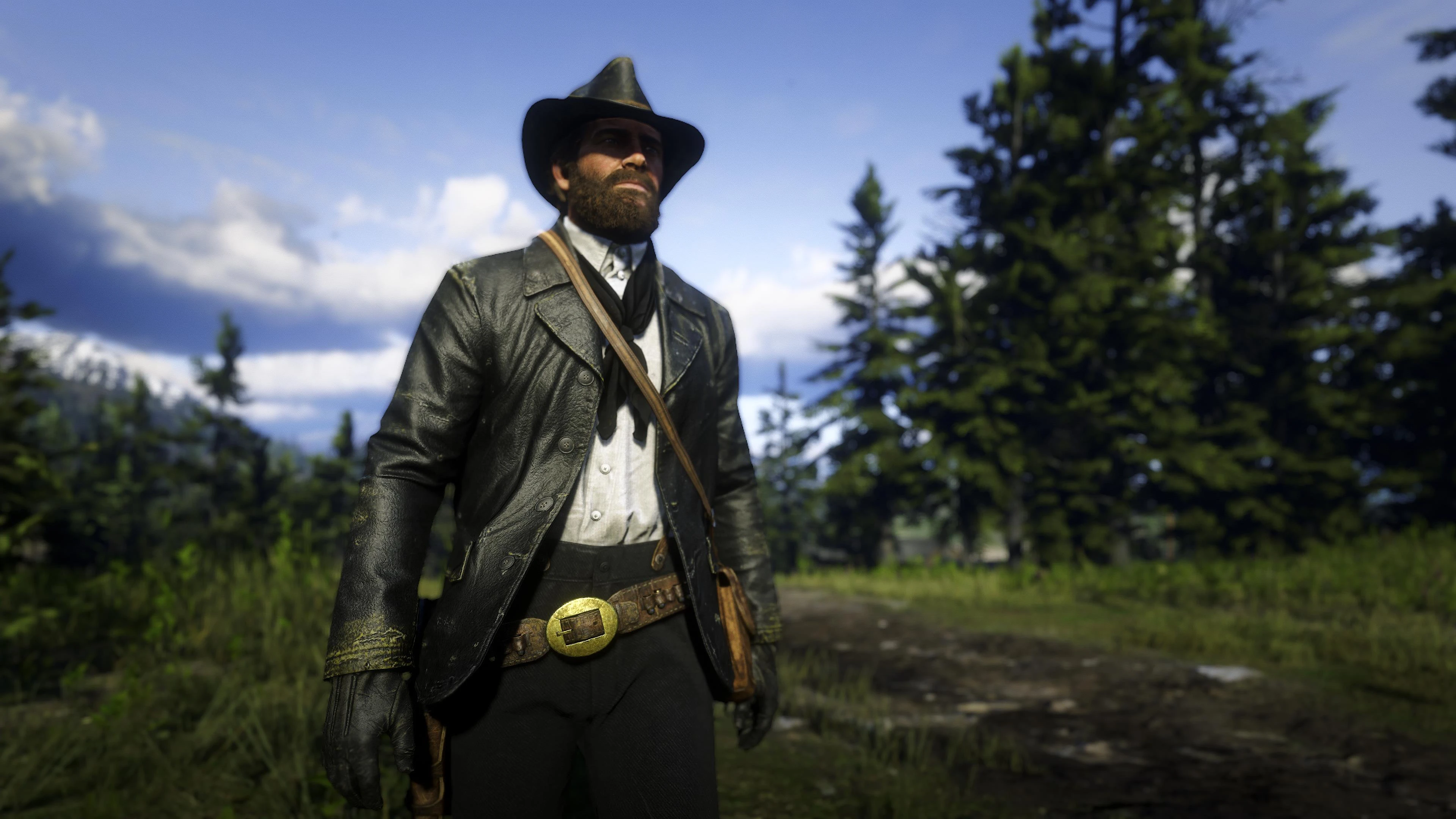 another one at Red Dead Redemption 2 Nexus - Mods and community