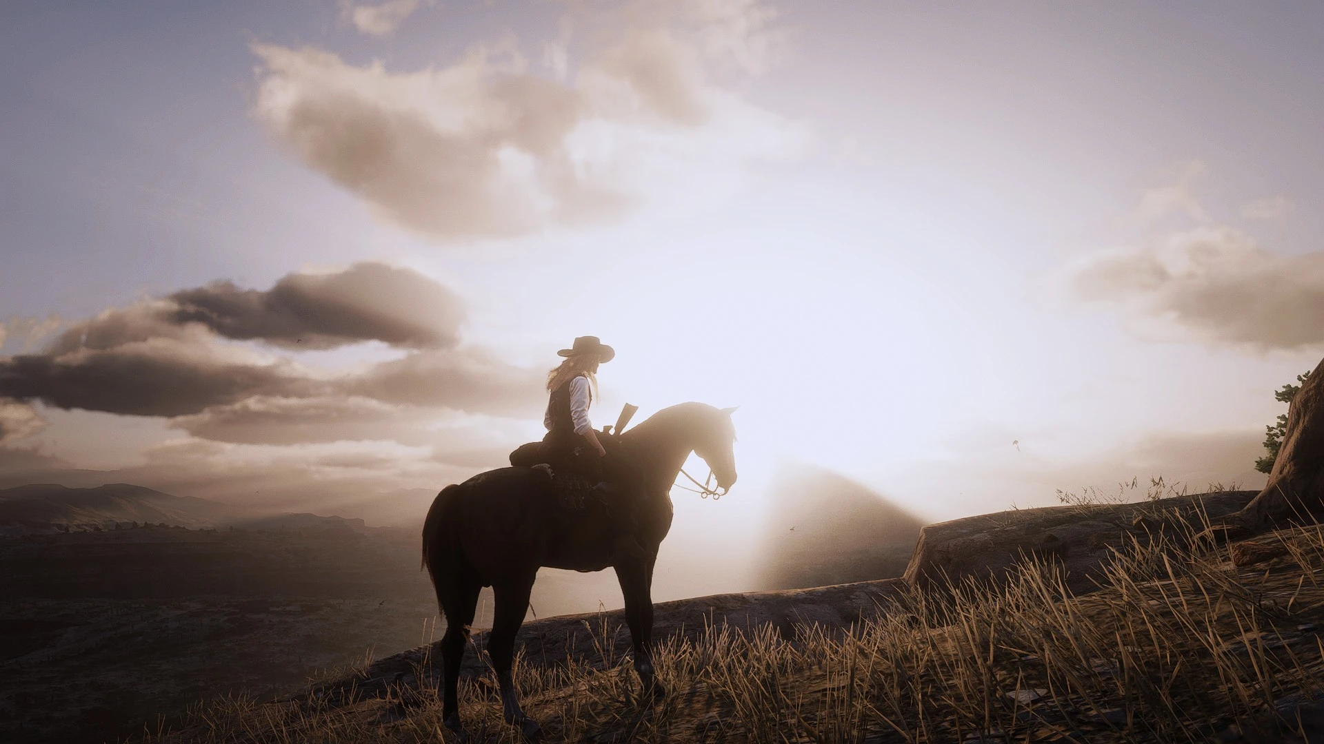 The Lone Ranger at Red Dead Redemption 2 Nexus - Mods and community