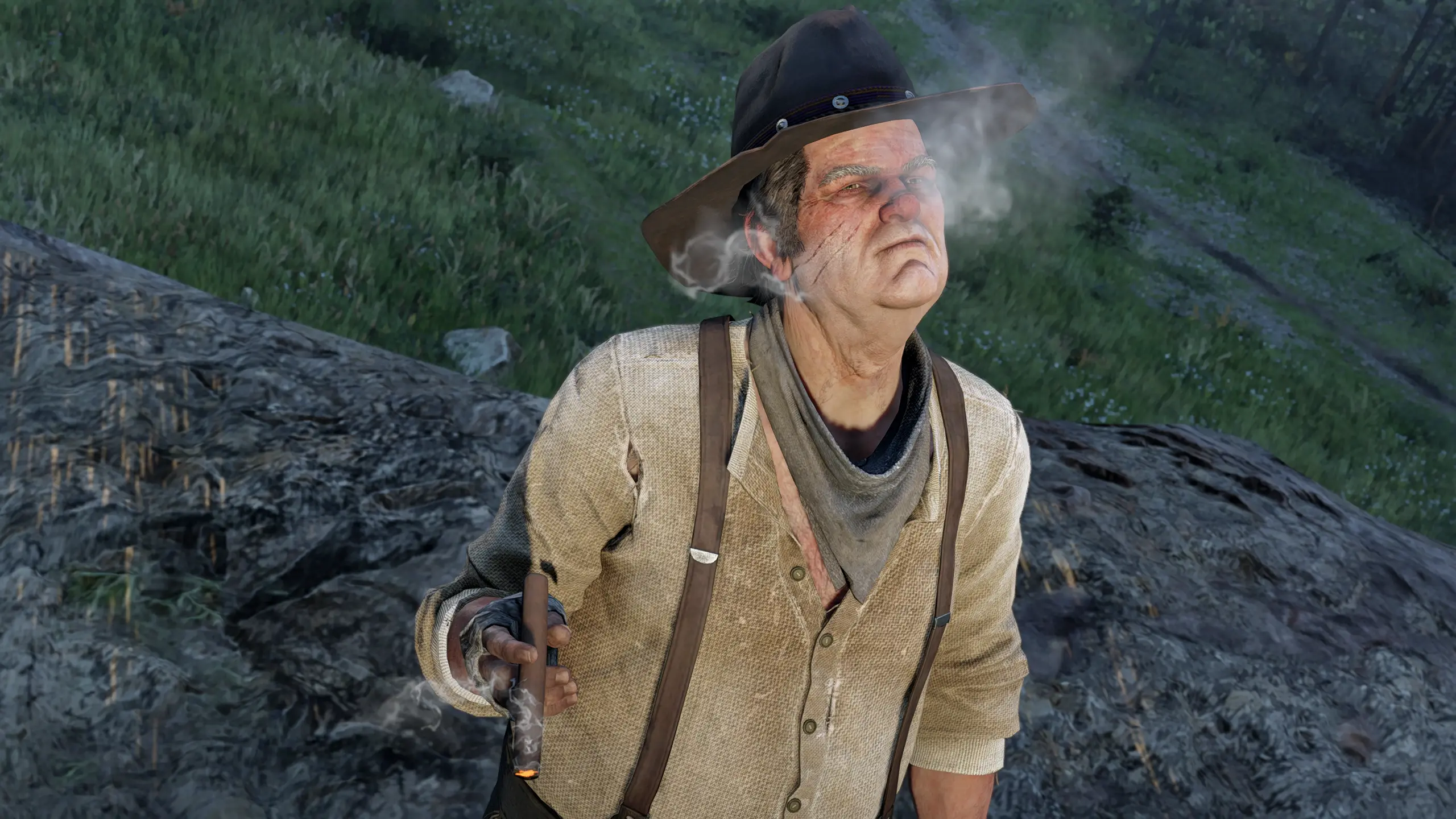 Red at Red Dead Redemption 2 Nexus - Mods and community