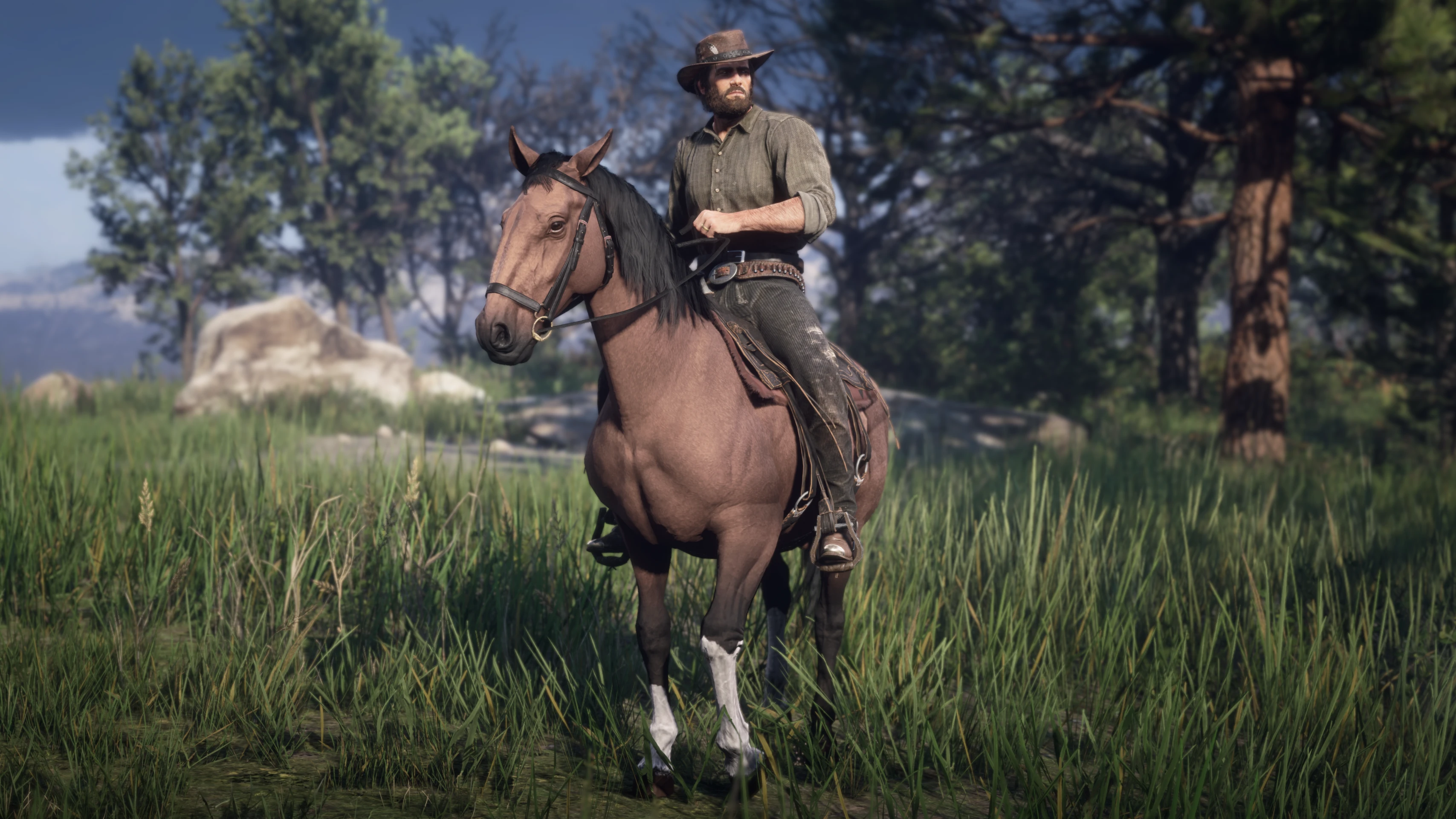 The Trail at Red Dead Redemption 2 Nexus - Mods and community