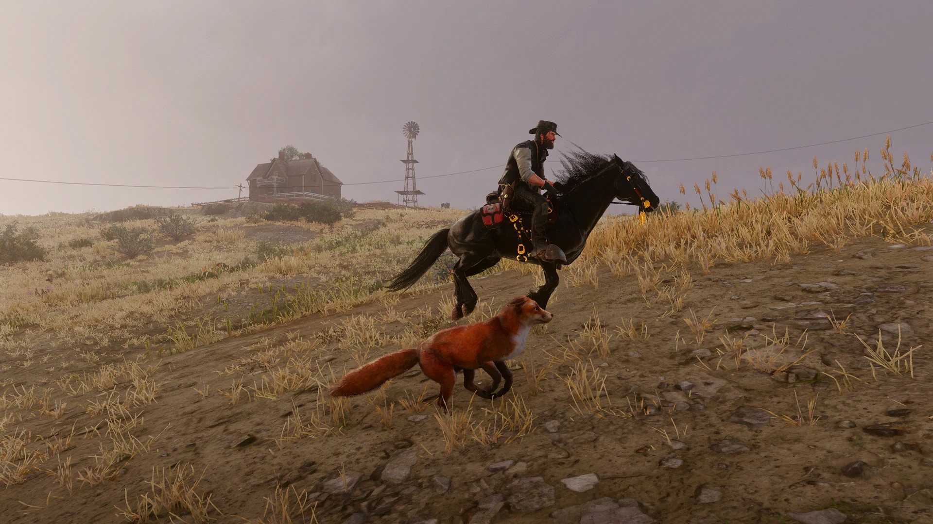 RIde With The Fox at Red Dead Redemption 2 Nexus - Mods and community
