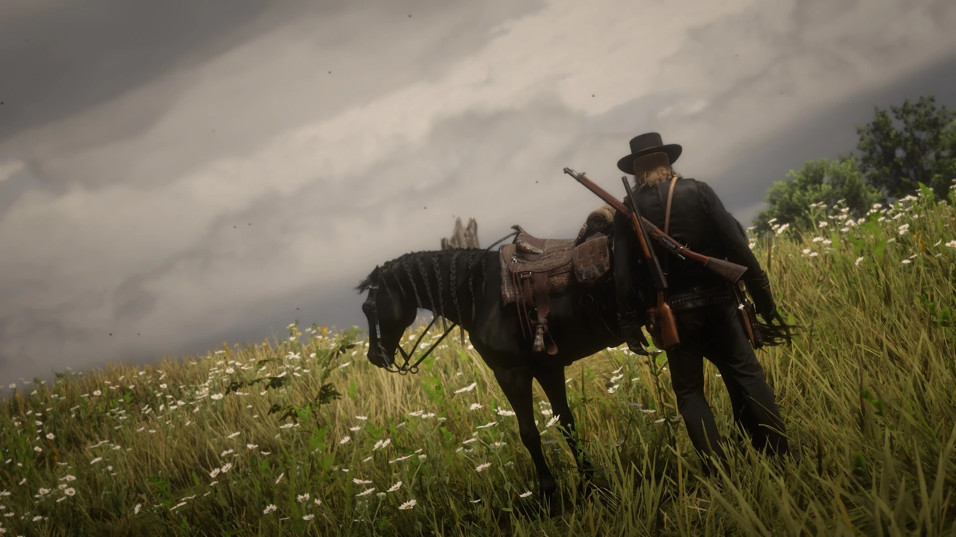 THE MAN IN BLACK at Red Dead Redemption 2 Nexus - Mods and community