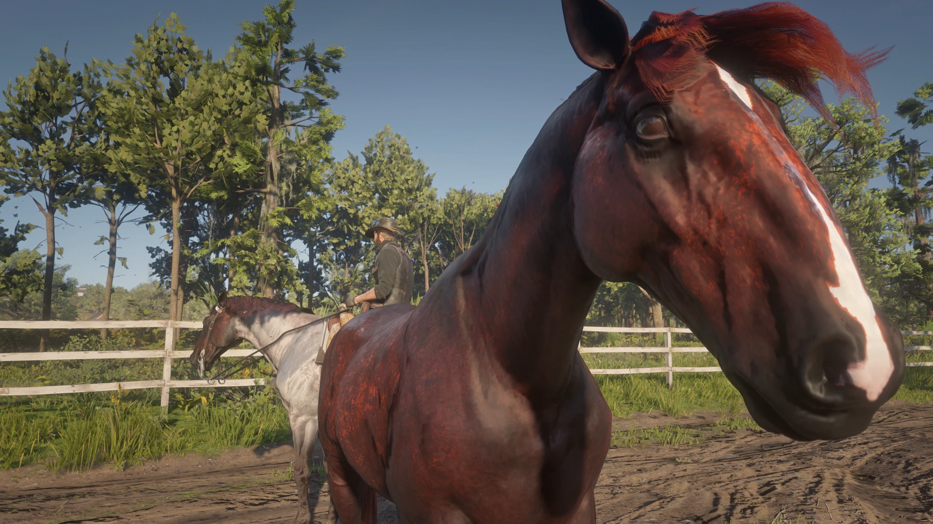 Hey there mister at Red Dead Redemption 2 Nexus - Mods and community