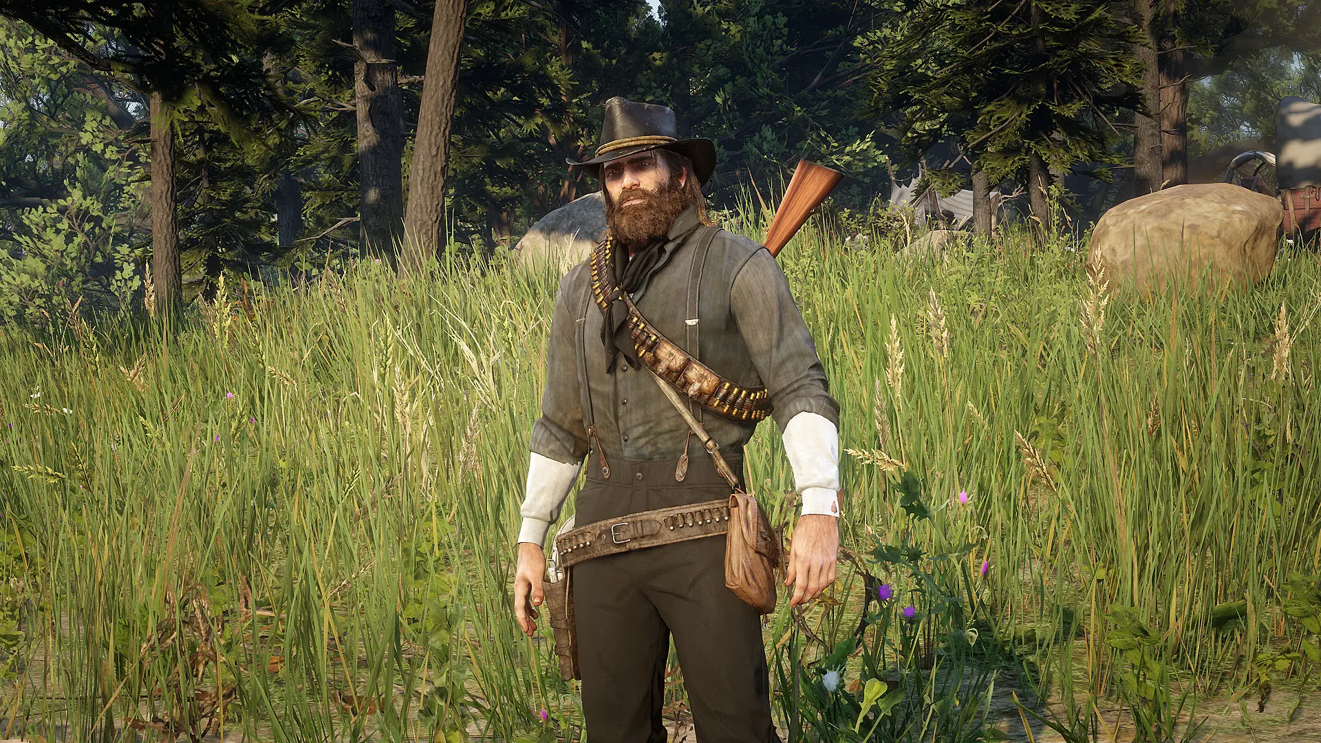 ARTHUR at Red Dead Redemption 2 Nexus - Mods and community