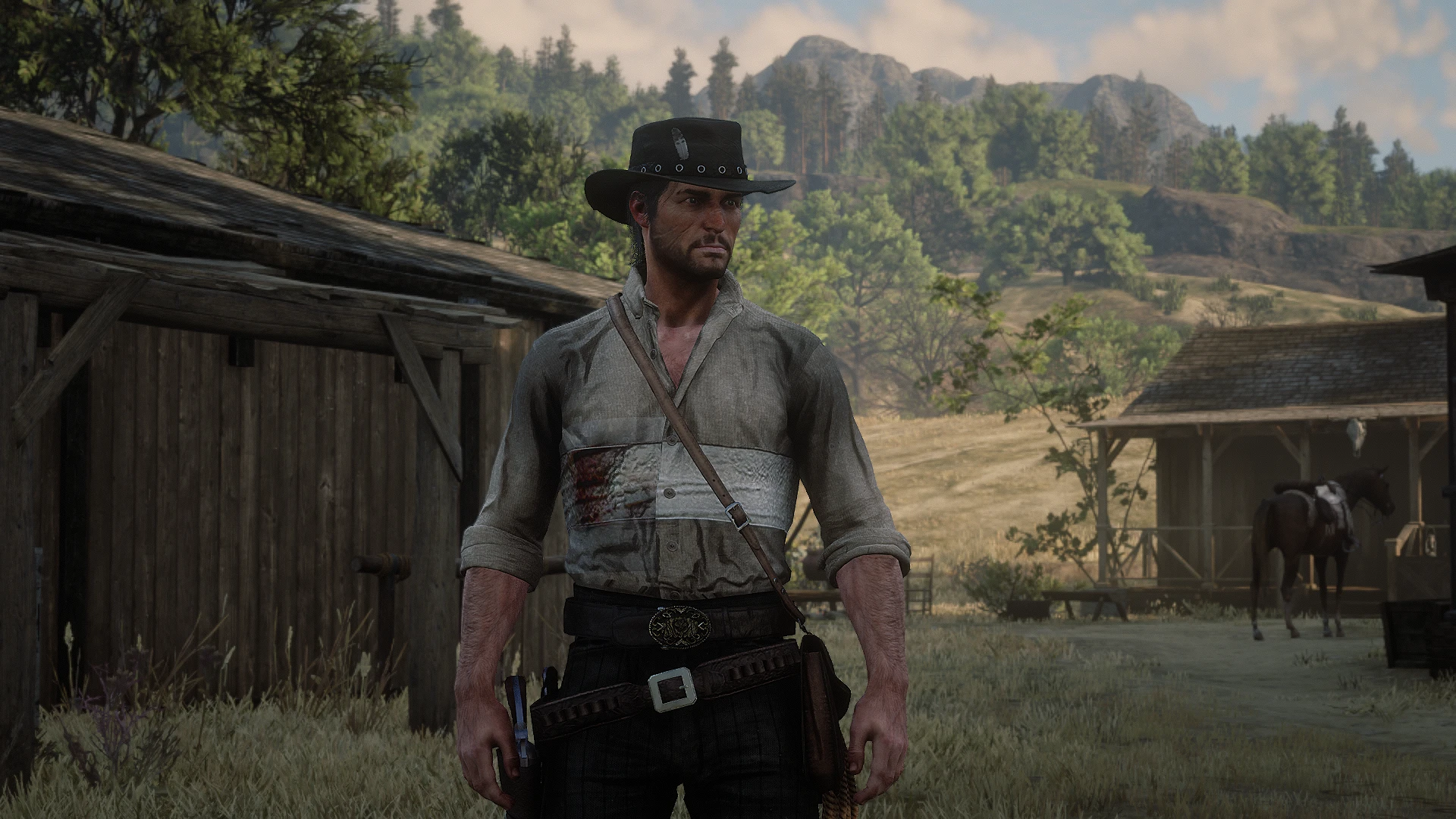another one at Red Dead Redemption 2 Nexus - Mods and community