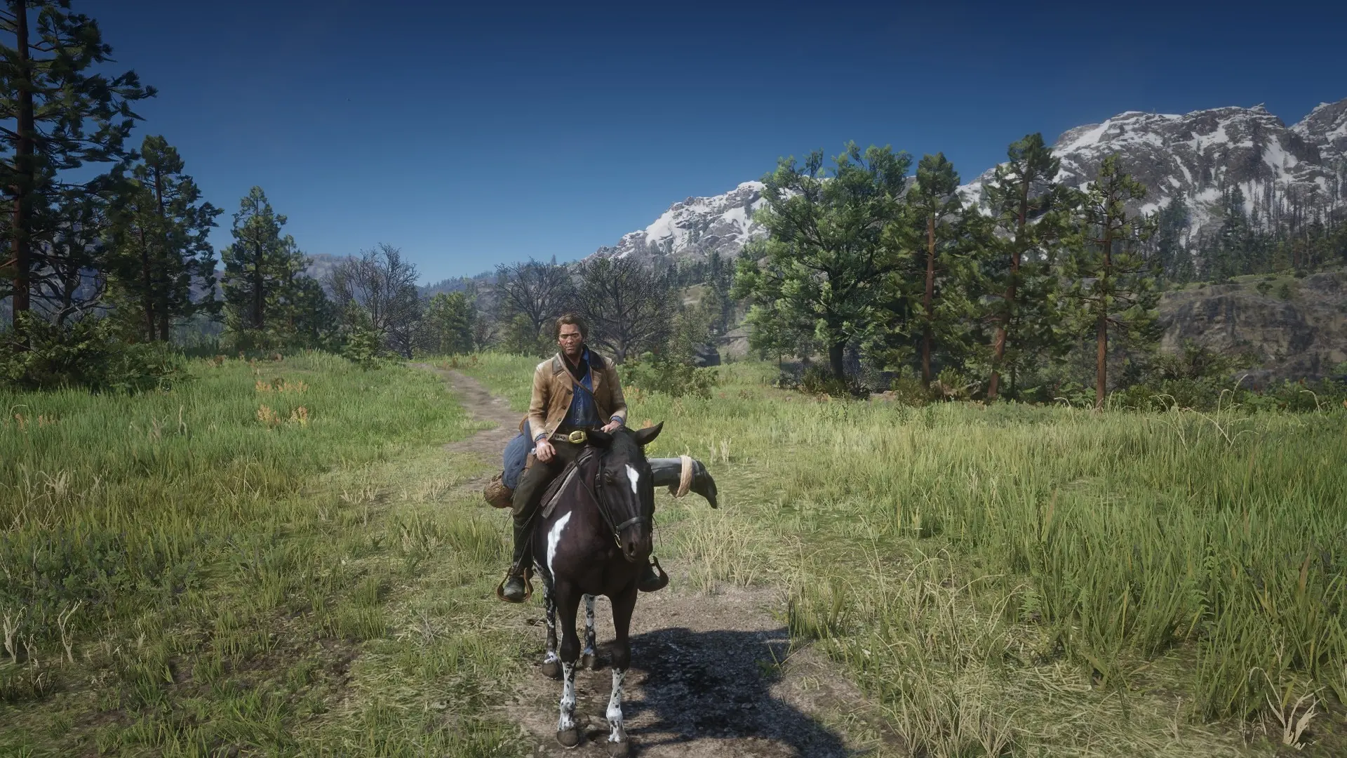 The Trail at Red Dead Redemption 2 Nexus - Mods and community