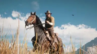 Arthur in his cover art outfit at Red Dead Redemption 2 Nexus - Mods ...