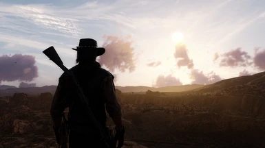 Lonely West Reshade COMING SOON