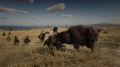Imidlertid Indbildsk Tyranny Buffalo at Red Dead Redemption 2 Nexus - Mods and community