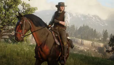 Johnny boah at Red Dead Redemption 2 Nexus - Mods and community