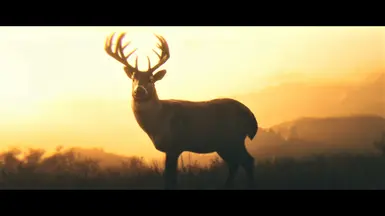 Oh deer