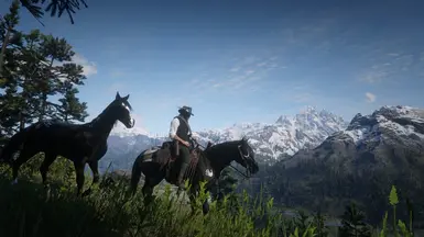 Still roaming at Red Dead Redemption 2 Nexus - Mods and community