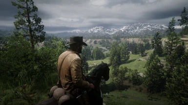 Read Dead Redemption 2 on PC 8K Ultra Maxed out 2