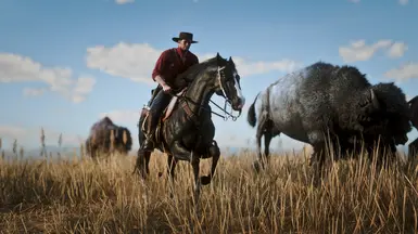 Bison at Red Dead Redemption 2 Nexus - Mods and community