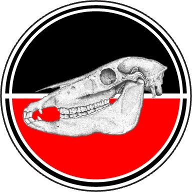 Pale Horsemen logo