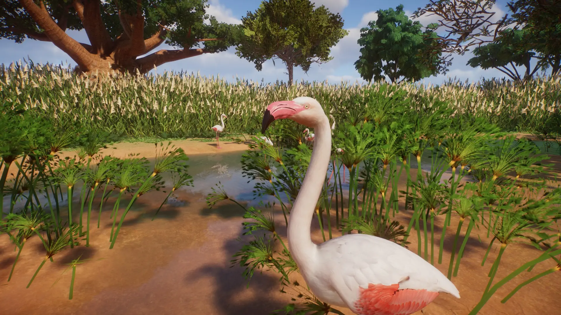 A New Dawn at Planet Zoo Nexus - Mods and community