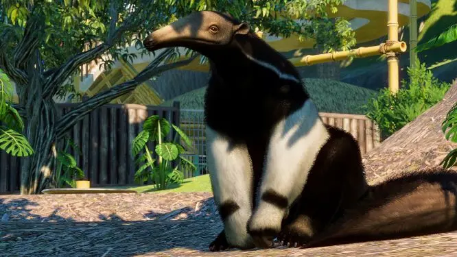 Why Zoo Tycoon Still Has an Advantage Over Planet Zoo