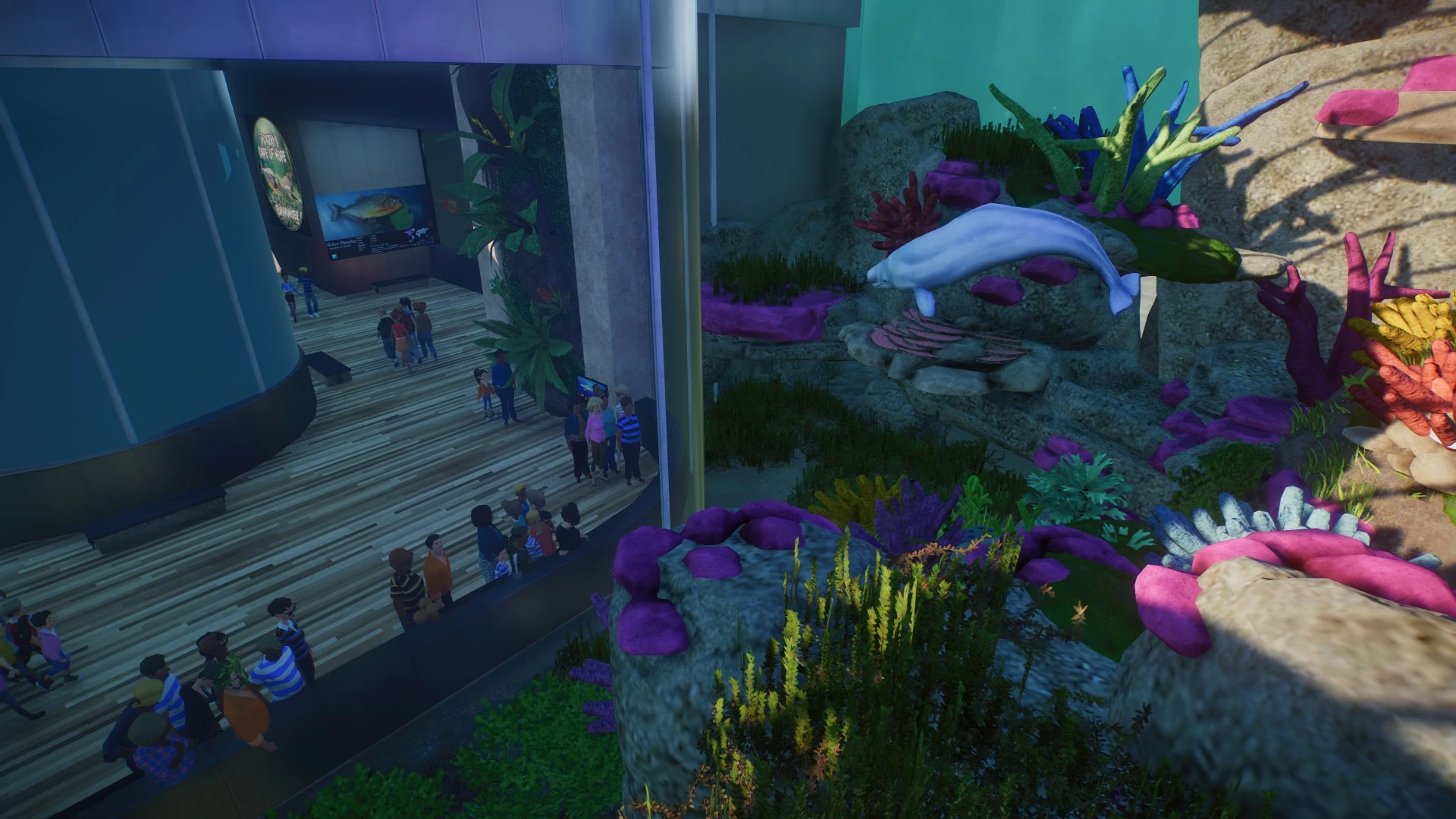 planet zoo aquarium planet zoo aquarium