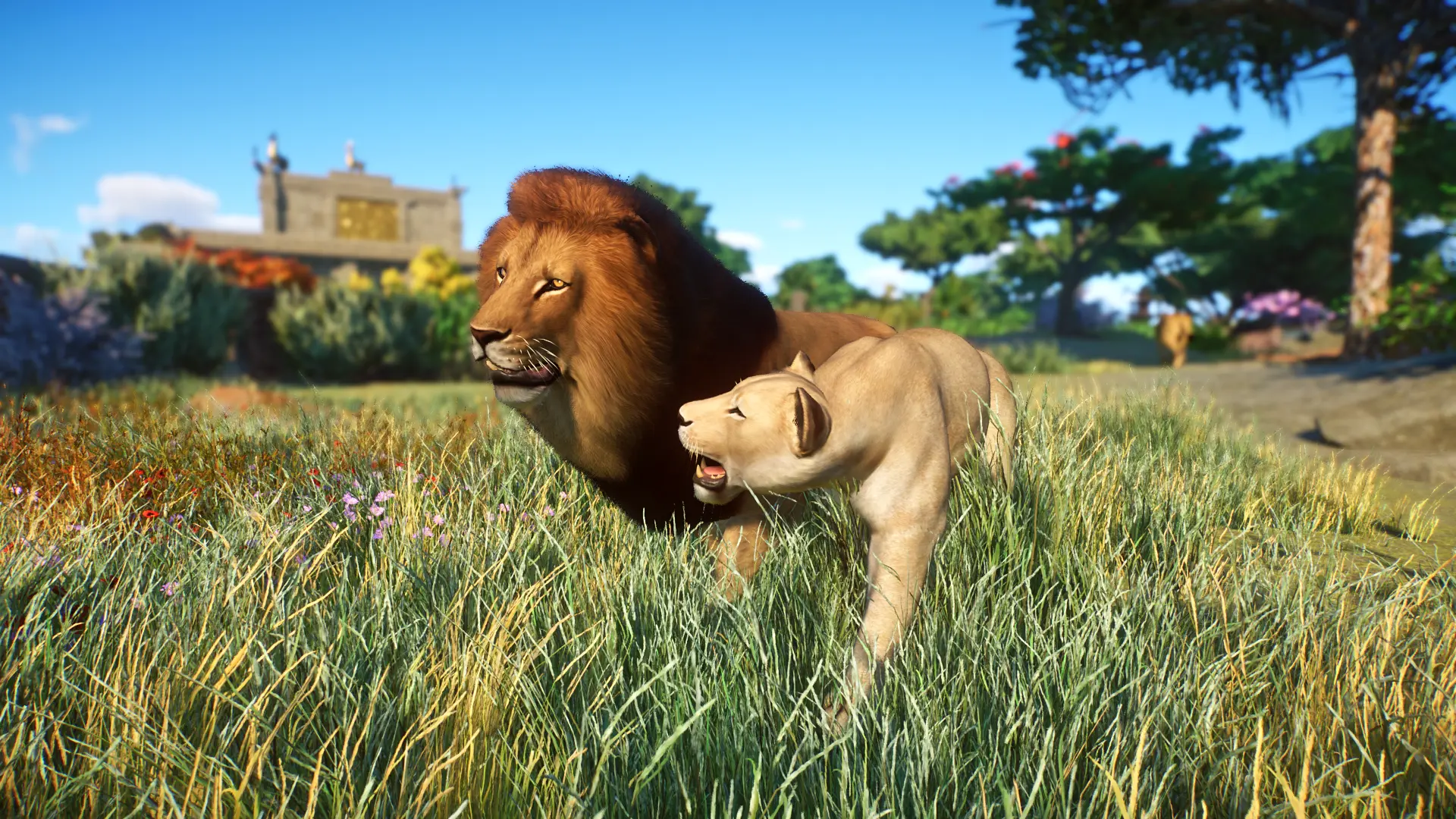 Lions at Planet Zoo Nexus - Mods and community