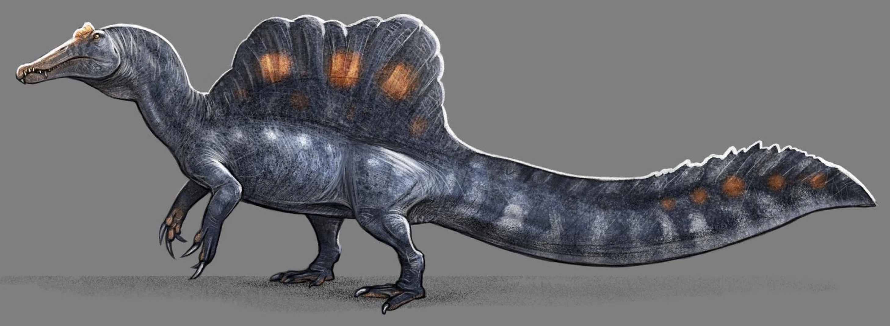 Спинозавр 2021