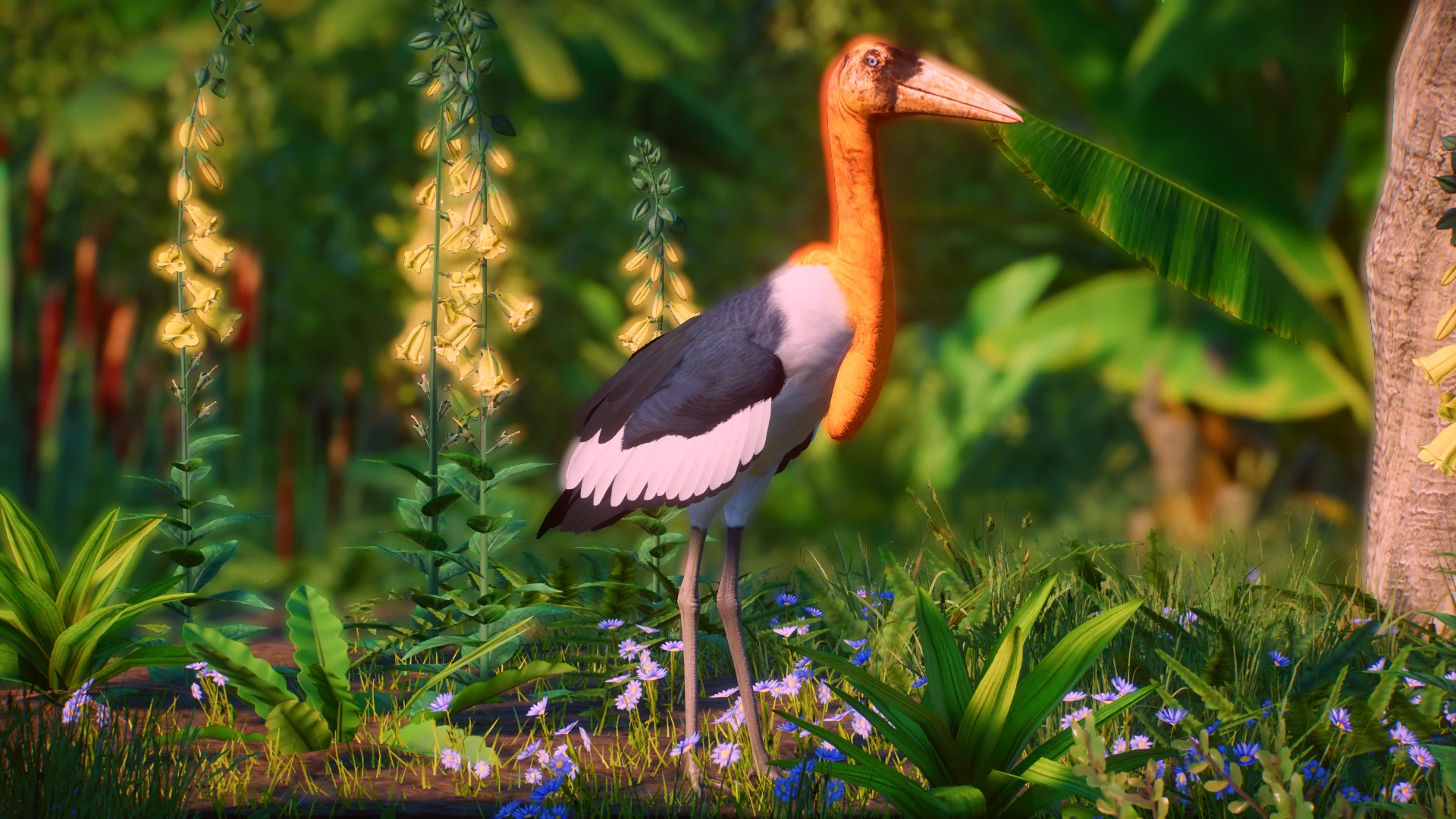 Greater Adjutant At Planet Zoo Nexus - Mods And Community