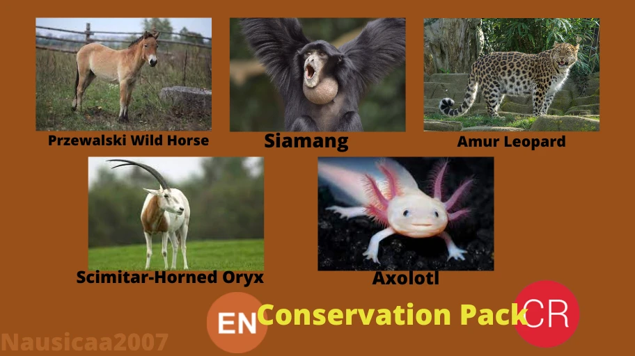 PLANET ZOO CONSERVATION PACK REVEAL at Planet Zoo Nexus - Mods and community