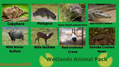 Wetland animal pack reveal