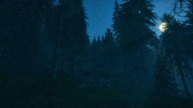Moonlit Night Hunt