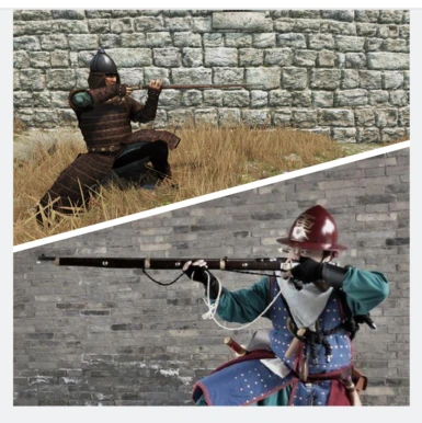 Eastern Musketeer Comparison
