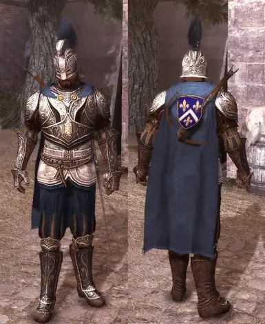 Mod Request - French Captain Armor