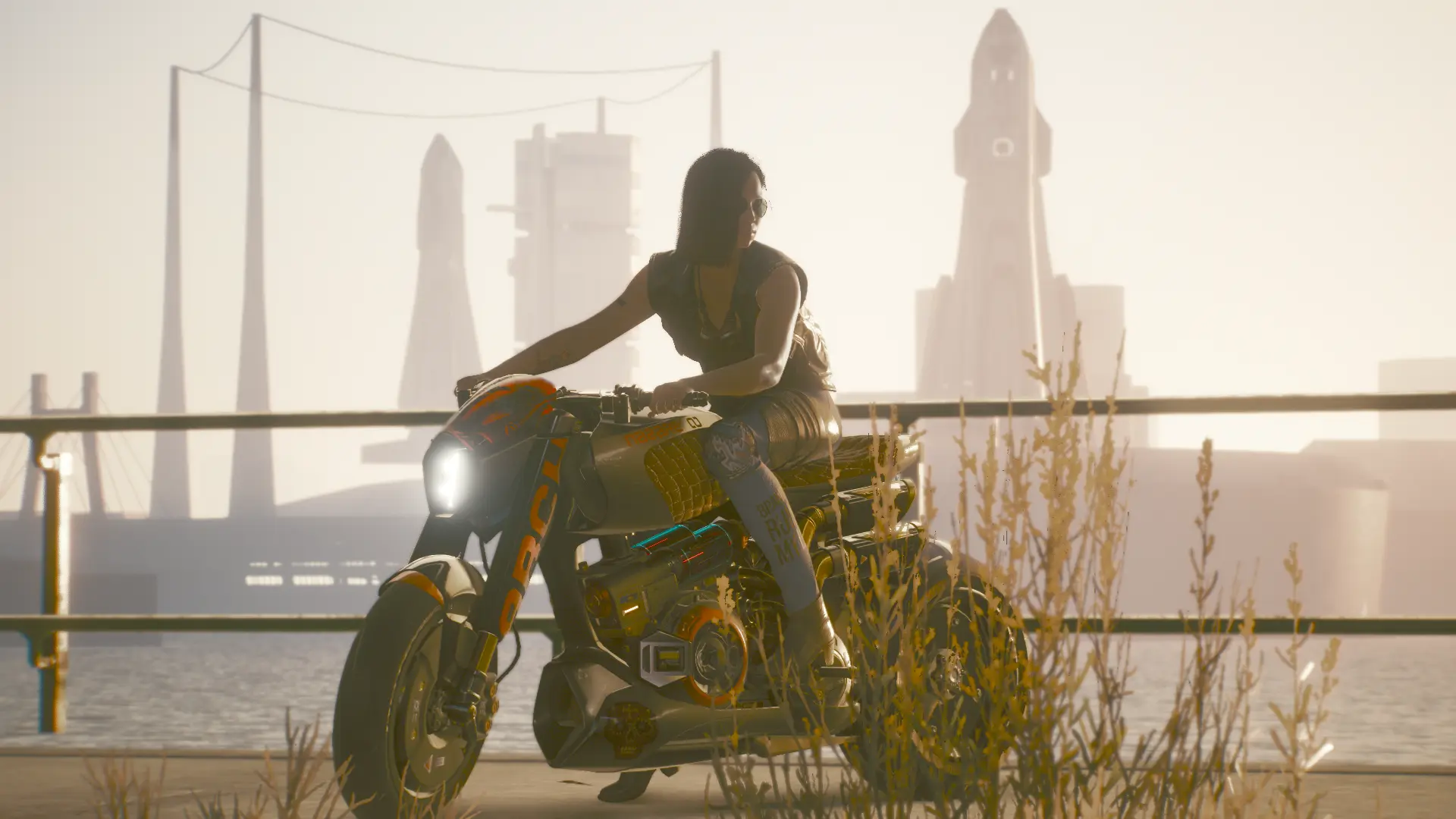 Biker Babe - Nomad on Jackie's Arch at Cyberpunk 2077 Nexus - Mods and ...