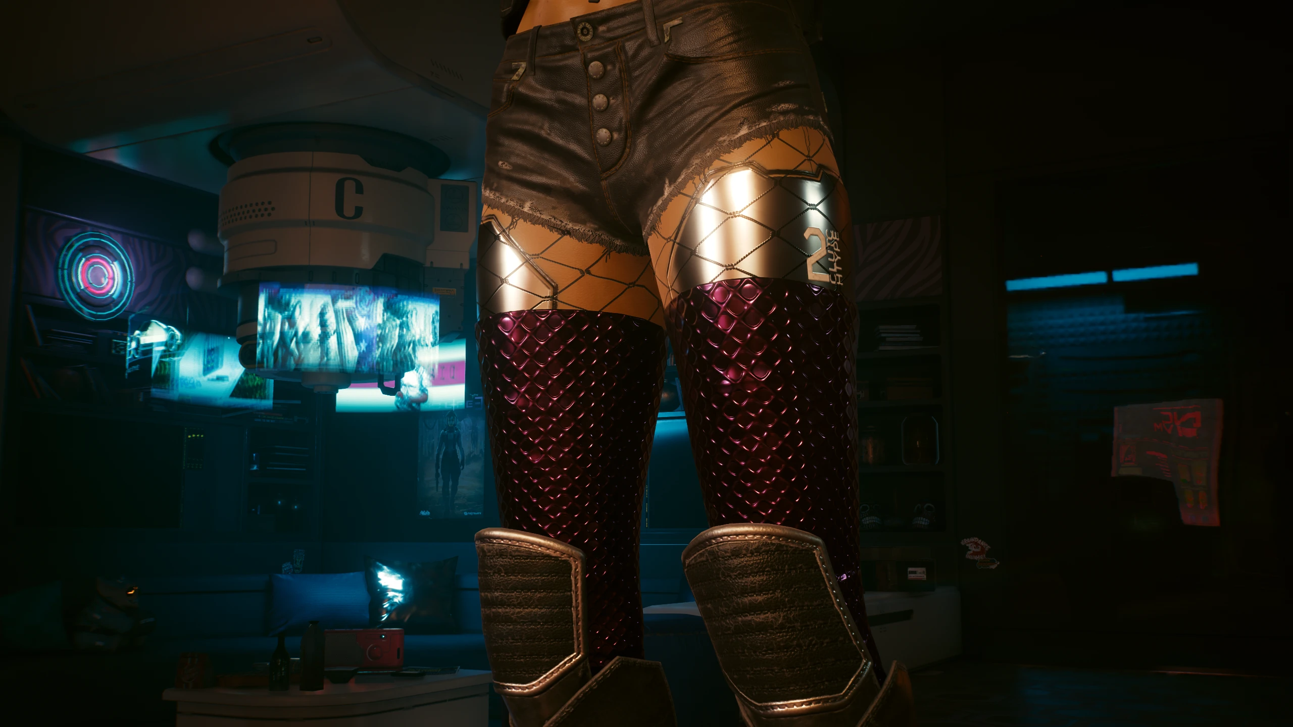 Cyberpunk 2077 stockings