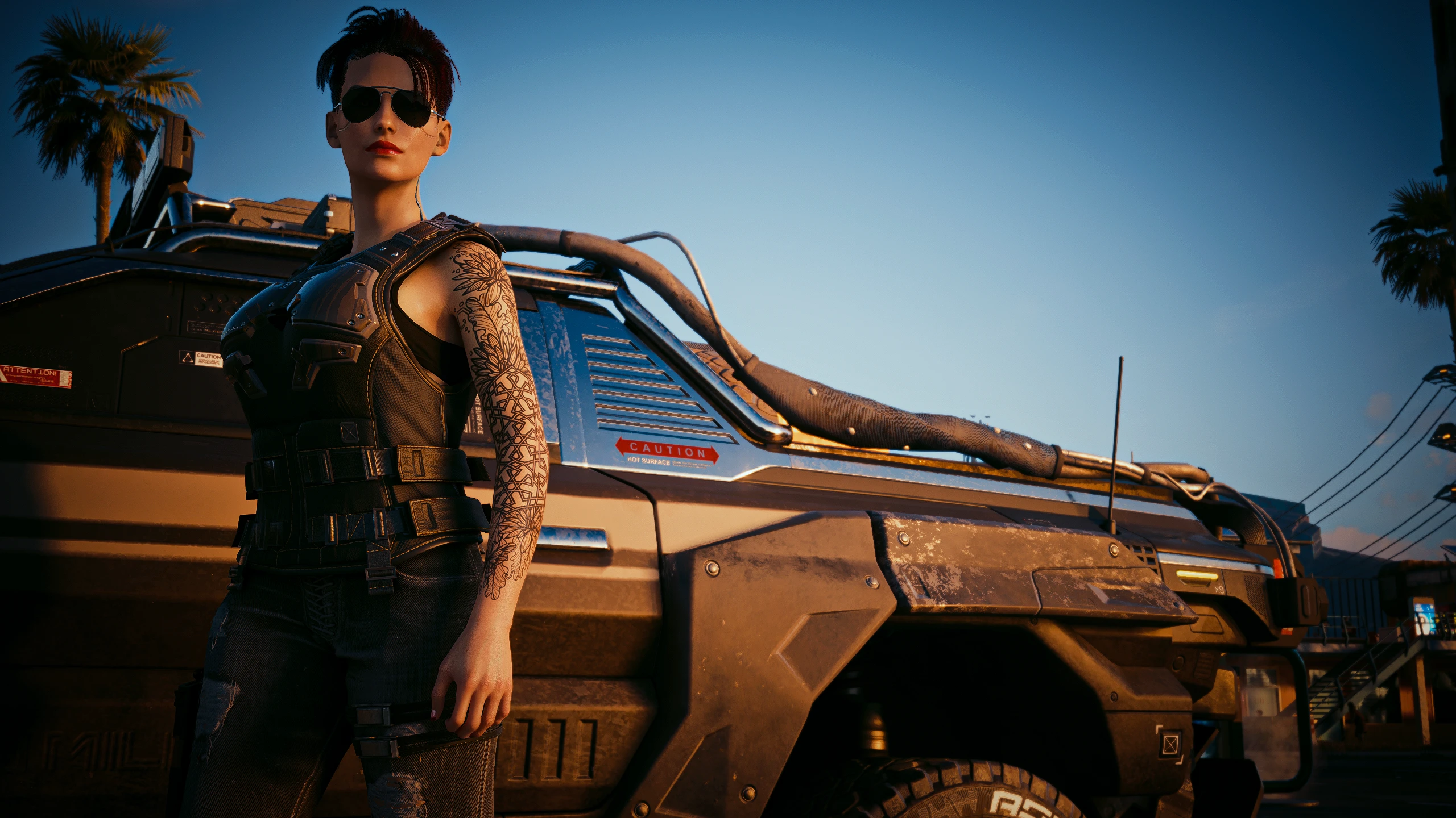 desert days at Cyberpunk 2077 Nexus - Mods and community