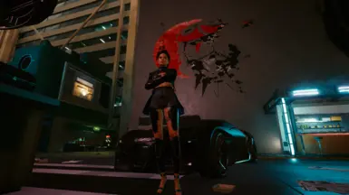 for the aesthetics at Cyberpunk 2077 Nexus - Mods and community