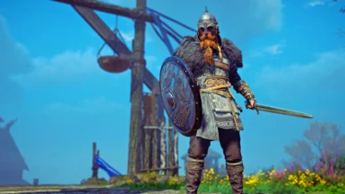 viking in ireland