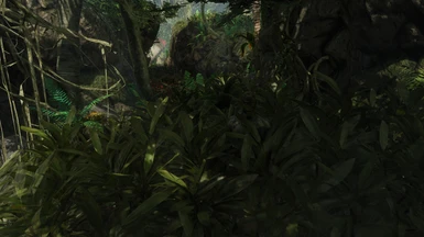 Jungle Dash VR – Discord
