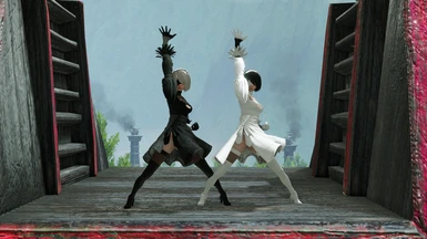 2B and 2P