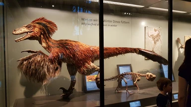 How do you make feathered dinosaurs
