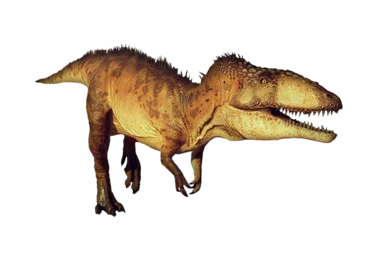 My redesigned Carcharodontosaurus