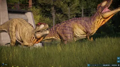 Twin Tyrannotitans being thrown into a Regaliaceratops enclosure just ...