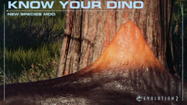 Know your Dino