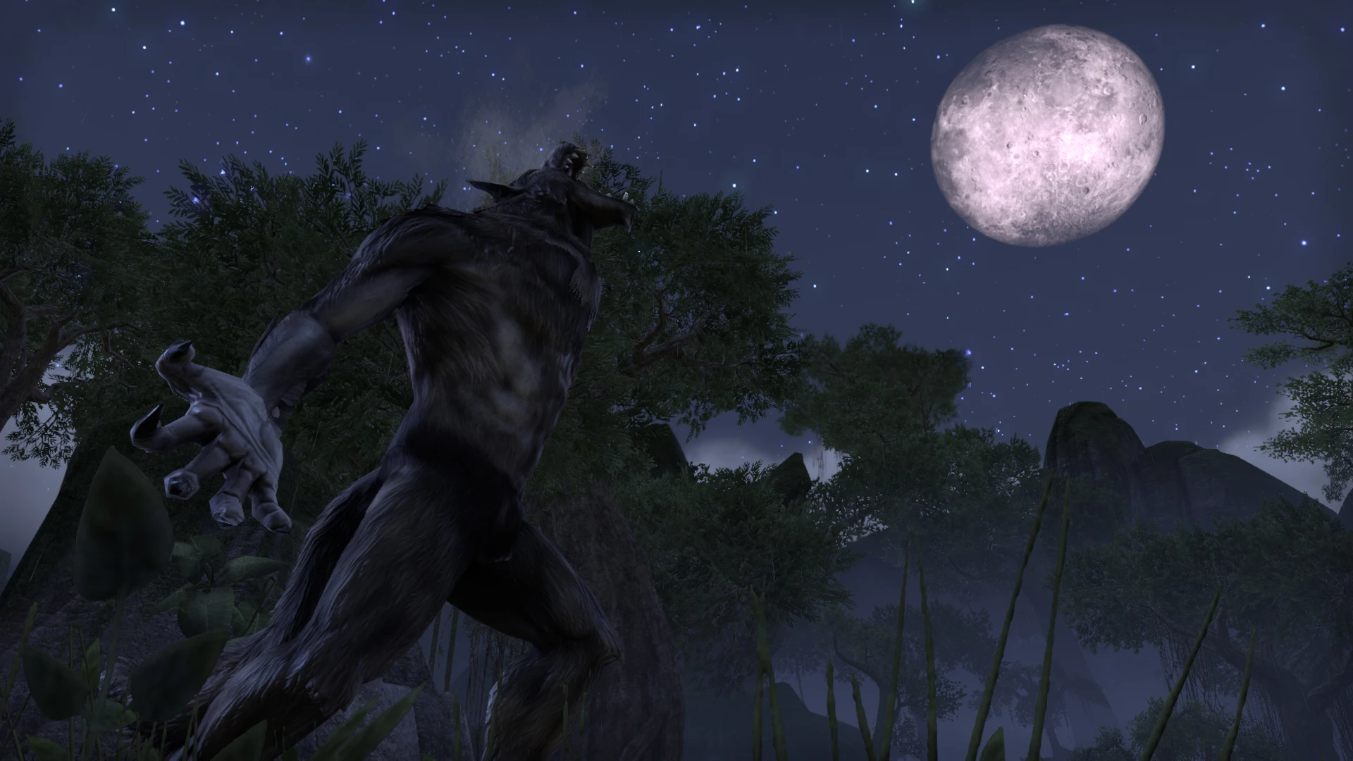 First Transformation to Werewolf at The Elder Scrolls ...