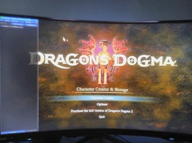 Dragon Dogma 2 reshade