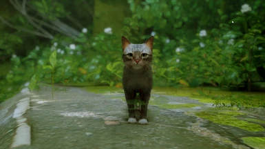 My Hyper Realistic Cat Mod for STRAY