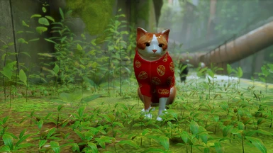 Lunar New Year 2023 Porcelain Cat Mod for Stray