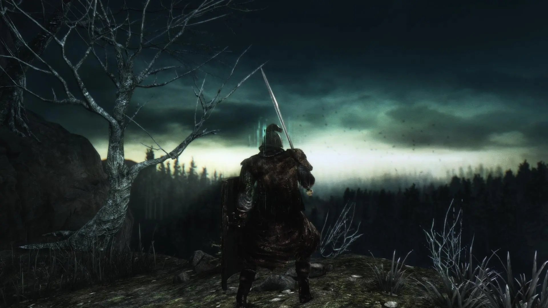 Дарк соулс лес. Dark Souls лес. Dark Souls 2 Art. Dark Souls 2 лес.