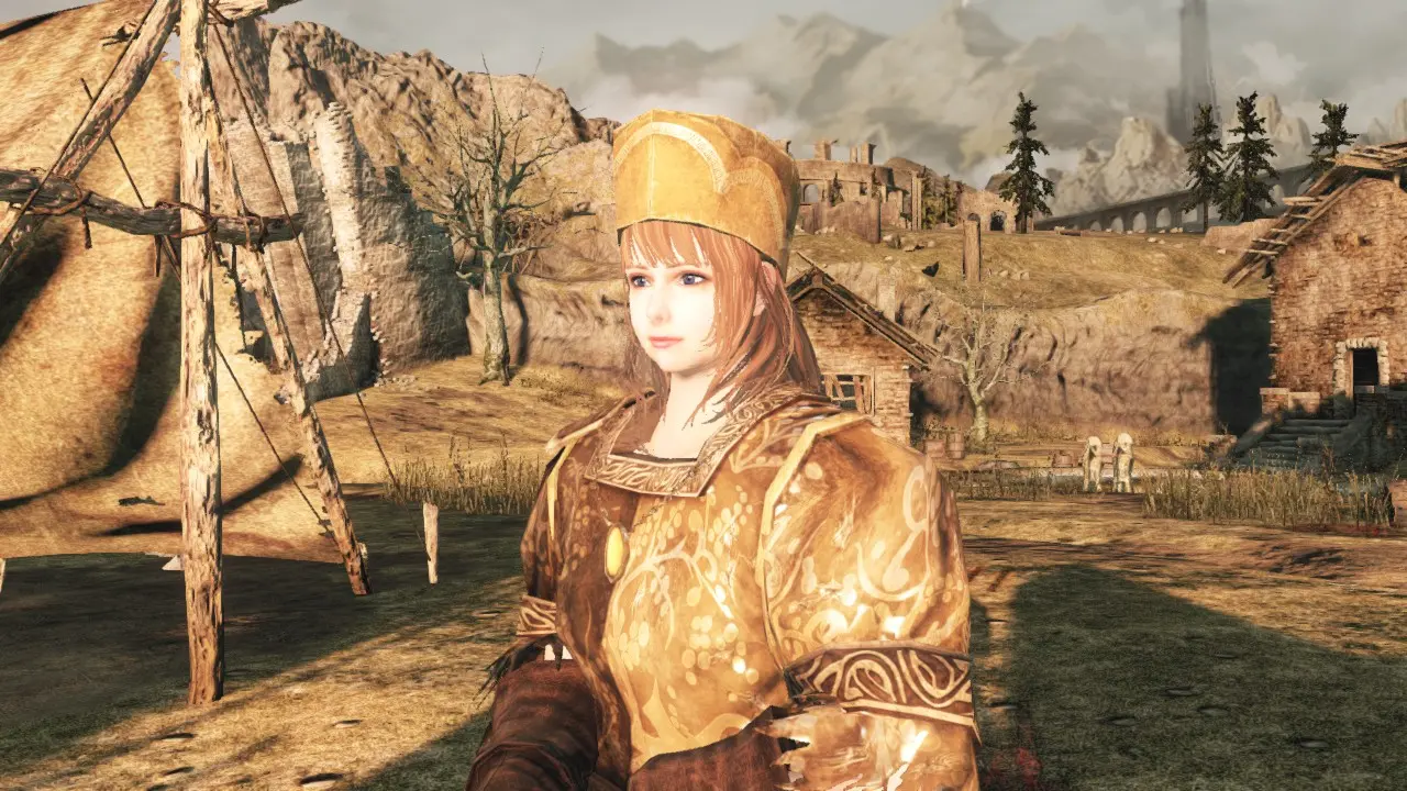 Dark souls 2 character