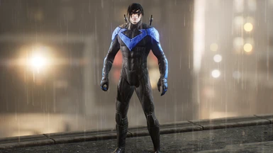 Arkham City Nightwing