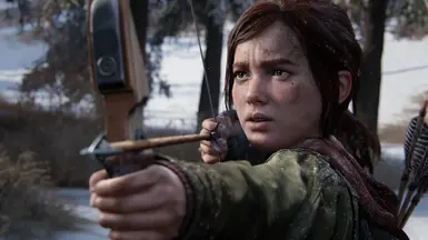 Last Of Us Part 1 PC at The Last Of Us Part I Nexus - Mods and community