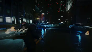 Dog Chase